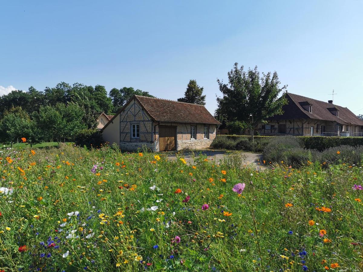 Gite De La Ferme De La Terve 布拉列 外观 照片
